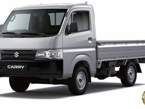 Suzuki Carry Pro