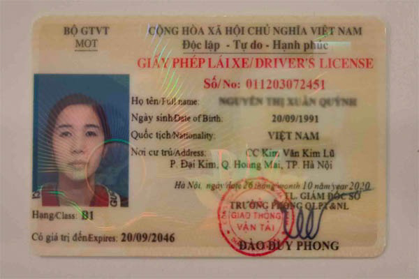 các loại bằng lái xe phổ biến tại Việt Nam