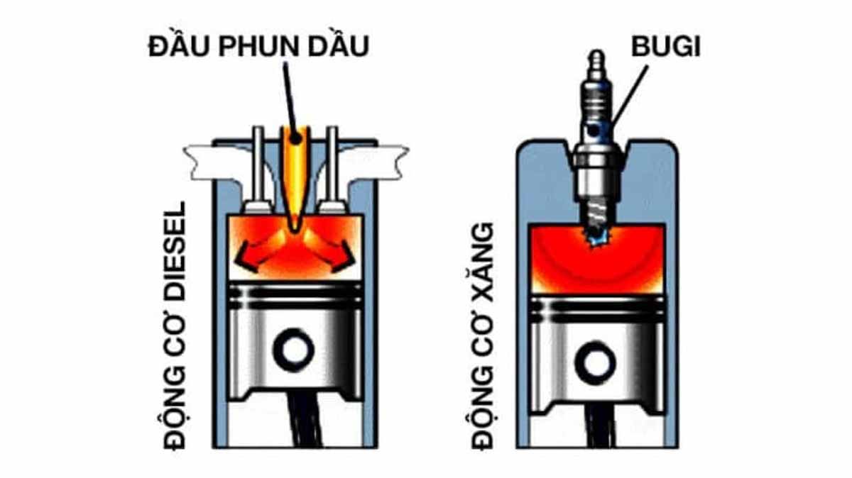 động cơ xăng và động cơ dầu diesel